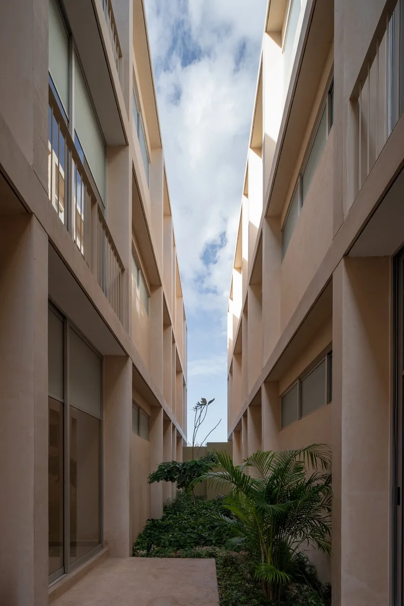 Patio interior entre edificios con vegetación